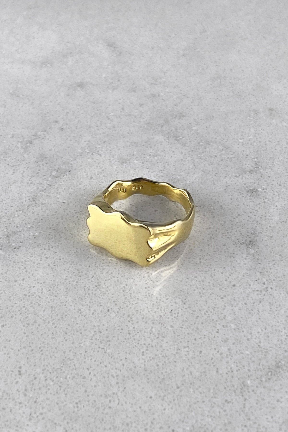 Edvard Signet Ring in Gold
